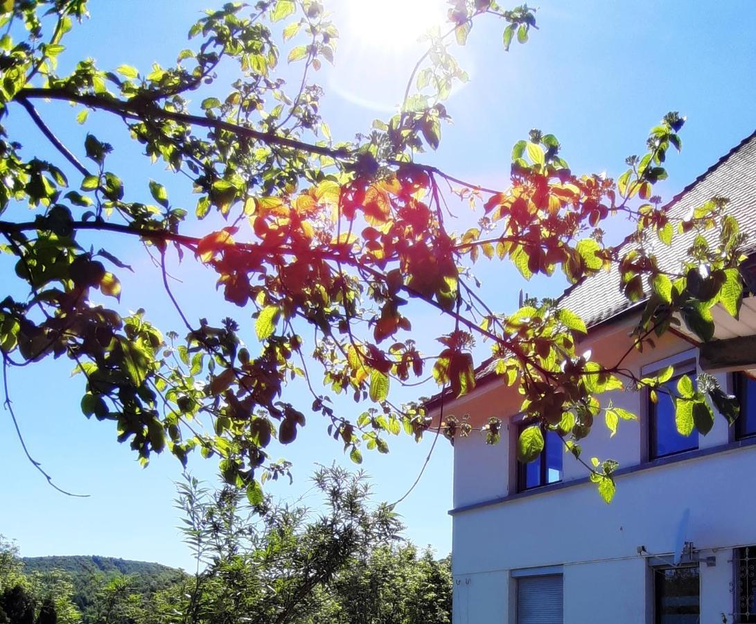 Ferienwohnung Albstadt Panorama Eksteriør bilde